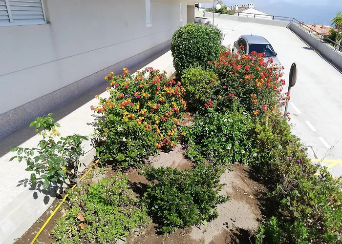 Daire En La Playa Ideal Grupos *